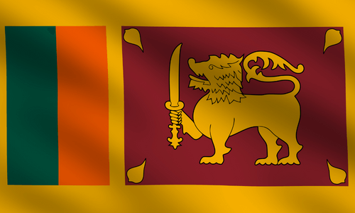 Panel online serta menggunakan seluler di Sri Lanka