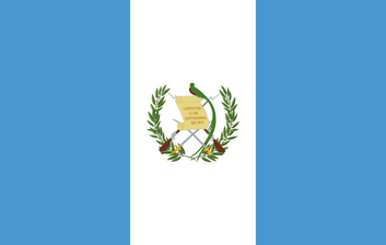 Panel Online di Guatemala