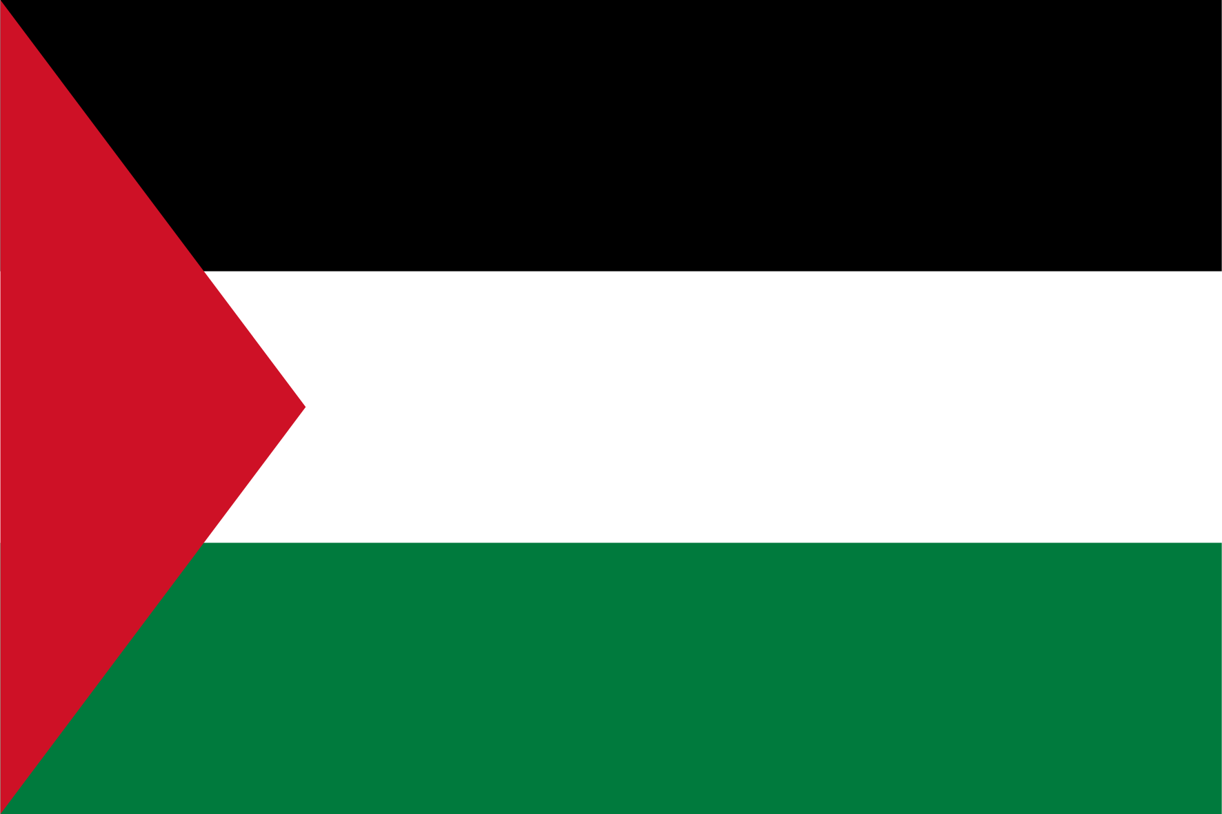 Riset Pasar dengan Panel di Palestina